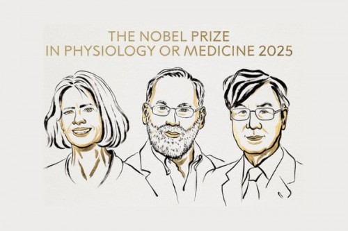 US, Japanese scientists awarded 2025 Nobel Prize for Medicine for discovery on immune system