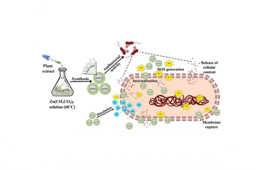 NIT Rourkela researchers pioneer green alternative to fight antibiotic resistance