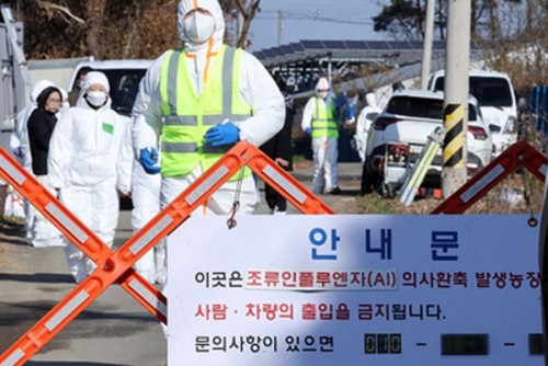 S. Korea confirms 8th highly contagious bird flu case of season
