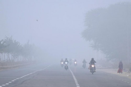 Yellow alert for cold wave in five Rajasthan districts