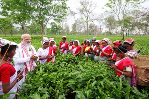 'Memorable experience': PM Modi visits tea garden in Dibrugarh, lauds workers for their hardwork