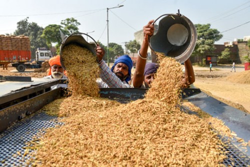 Centre-deputed expert teams to check moisture levels of paddy in Tamil Nadu from today