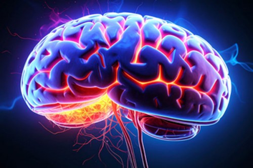 Why women face higher risk of multiple sclerosis and Alzheimer's