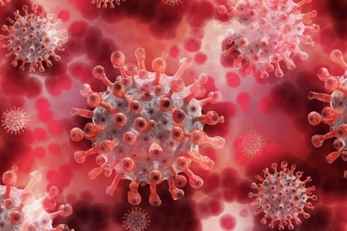 Six new Covid cases in Patna; doctors say no need to panic, take precautions