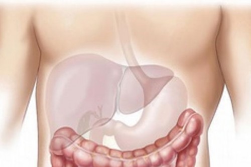 Sleep well, avoid junk food to keep your liver healthy