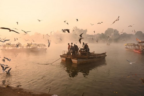 Cold wave continues in MP, temperature dips to new low at 1.8 deg C