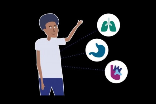 Policy reforms key to boost global equity in organ transplantation: Lancet