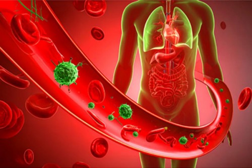 Indian scientists develop new nano-sensor to detect deadly sepsis infection in minutes