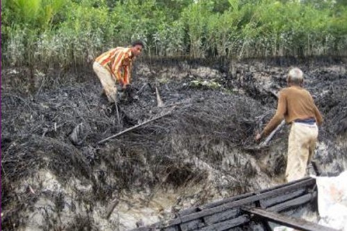 Bangladesh to ban single-use plastic items in Sundarbans
