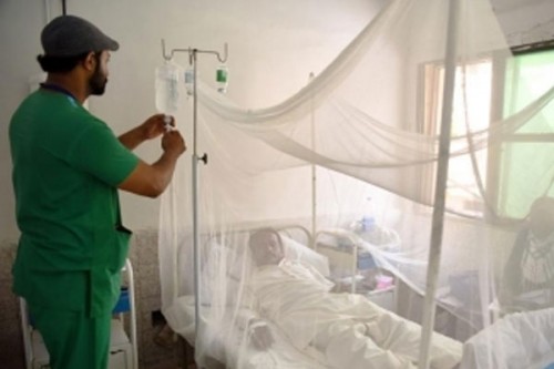Pakistan: Two more dengue deaths raises Sindh's 2025 toll to 29