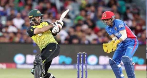 T20 World Cup: Glenn Maxwell's 54 not out carries Australia to 168/6 against Afghanistan