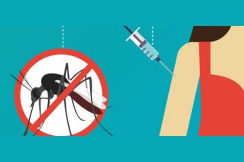 Phase III clinical trial for India's 1st dengue vaccine hits 70pc enrolment mark: Minister