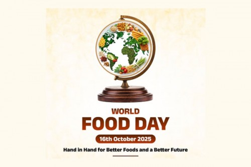 PM Garib Kalyan Anna Yojana, Poshan Abhiyan key to advancing food security in India: Nadda