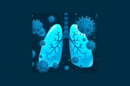 More lung cell types infected by SARS-CoV-2 than previously thought: Study
