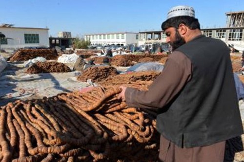 Afghanistan: Nangarhar unaffected due to closure of Torkham crossing with Pakistan