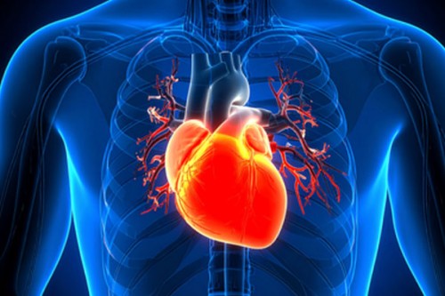 Current heart attack screening tools missing 45 pc people at risk: Study