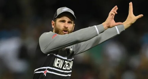 Sure there will be plenty of opportunities for New Zealand players to shine, says Williamson