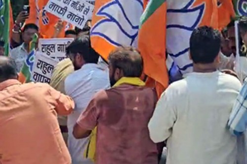 Rahul Gandhi go back: BJP stages sit-in as Congress MP arrives in Rae Bareli