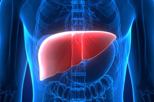 New monoclonal antibody safe and effective for rare liver disease