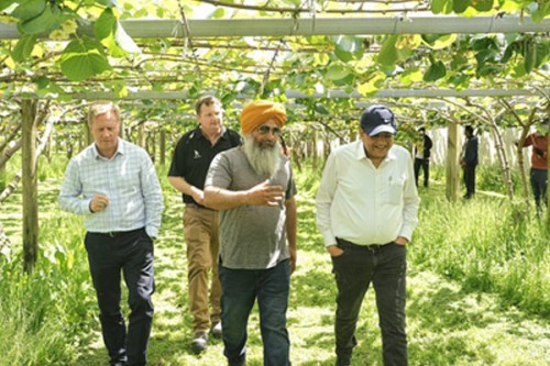 Grateful to Kiwi-Indian farmers for very productive orchard visit: Piyush Goyal