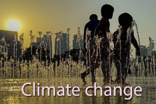 Climate change 'accelerating' damage to Australia's ecosystems, wildlife: Report