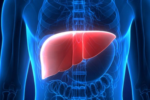 India a pioneer in living donor liver transplantation