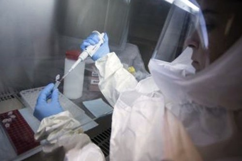 Chinese scientists identify key Ebola virus mutation