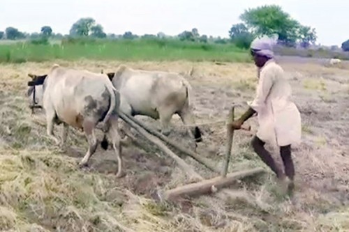 TN farmers urge Centre to implement modified Pandiyaru-Moyyar river link scheme