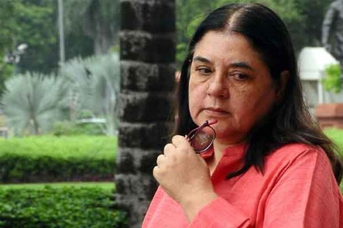 Maneka Gandhi's assets are worth approximately 100 crore