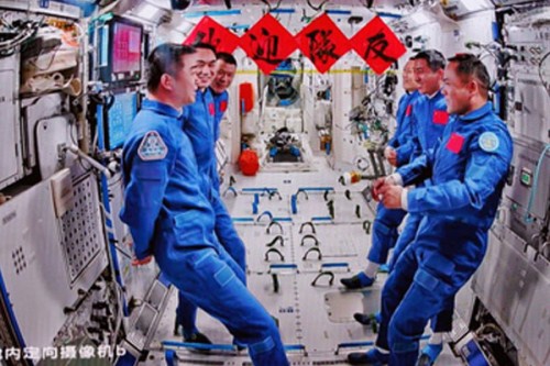 Mouse births pups after returning from space mission in China, paving way for future research