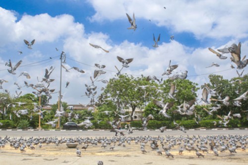 Delhi's air quality improves after rainfall, AQI in 'satisfactory' category