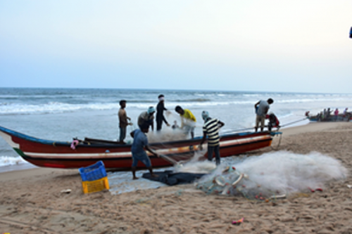 Nine Tamil Nadu fishermen arrested by Sri Lankan Navy