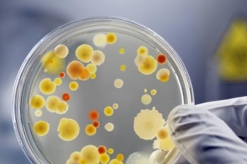 Curtailing pollution must to reduce superbugs: UN report
