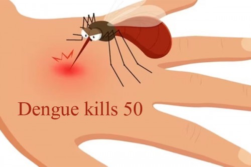 Dengue kills 50 