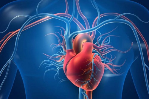 New noninvasive imaging tech to scan skin, signal risk of heart disease