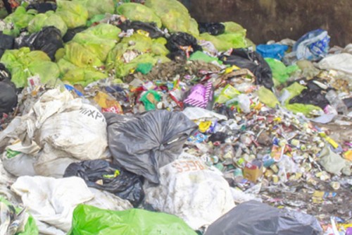 Farmers in TN's Dharmapuri raise alarm over dumping of medical waste in farmlands, waterways