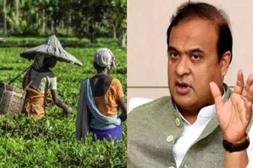 Tea from Assam's Attabarie wins global recognition in championship at Las Vegas: CM Sarma