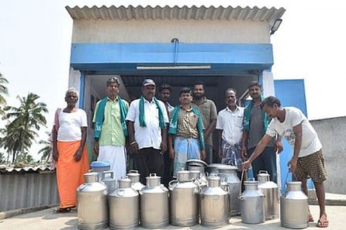 Aavin milk incentives delayed, TN farmers demand immediate govt intervention