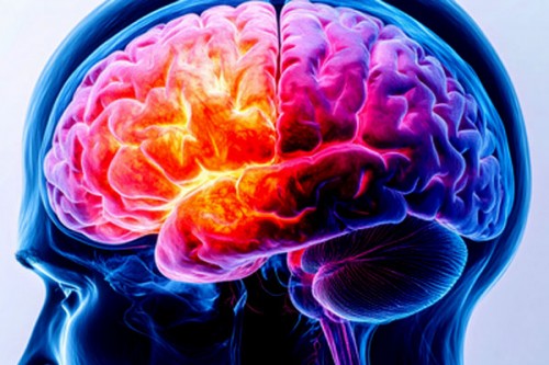 Tongue may hold clues to detect, track motor neurone disease: Study