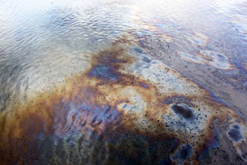 NIT Rourkela develops eco-friendly biofilm to mitigate impact of industrial oil spills, chemical waste