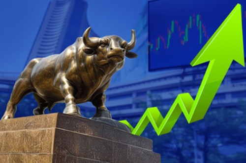 DIIs pump record Rs 6 lakh crore in Indian stocks in 2025