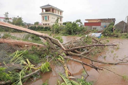 Typhoon Bualoi leaves 51 dead in Vietnam