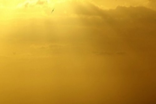 US-Venezuela conflict: Indian refiners set to gain, says report