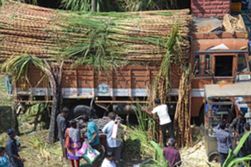 India's sugar output to rise 15 pc at 35 million tonnes on favourable monsoon: Crisil