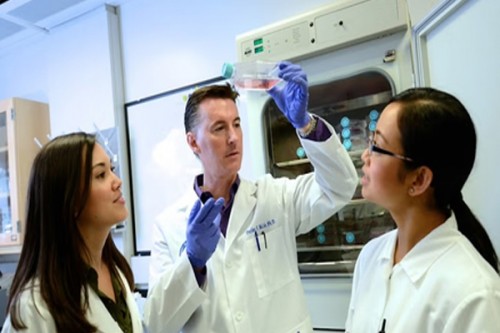 Study finds that agricultural dust can put gut health at risk