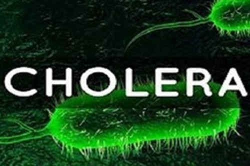 Cholera death toll rises to 75 in Chad