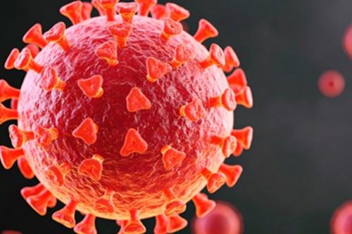 No link between COVID-19 vaccines and sudden deaths in young adults: AIIMS