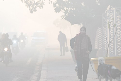 Delhi-NCR grapples with cold wave, poor air quality