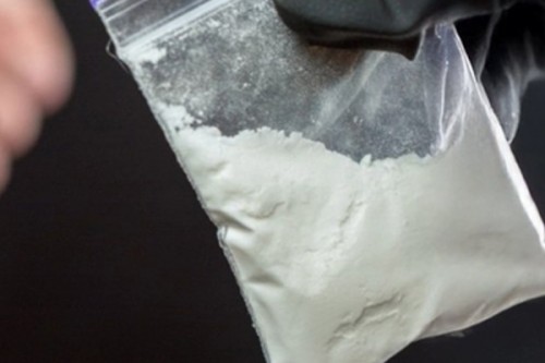 Chinese nationals accused of smuggling agroterrorism pathogen into US