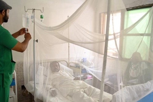 Pakistan: One more dengue death takes Sindh's official tally to 26